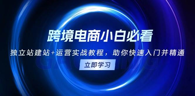 跨境电商独立站建站与运营实战教程，快速入门指南-无双副业