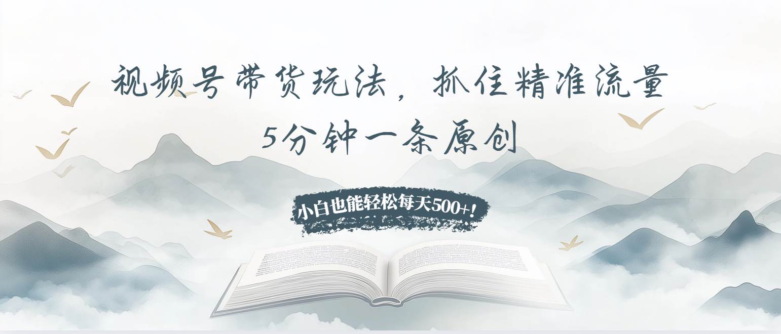 视频号带货玩法：抓住精准流量，小白轻松日赚500+-无双副业