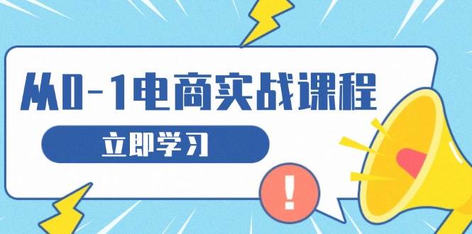 从零开始电商实战：访客获取、选品布局与团队搭建-无双副业