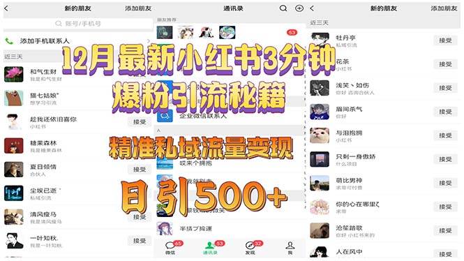 小红书3分钟爆粉引流秘籍 精准私域流量变现技巧-无双副业