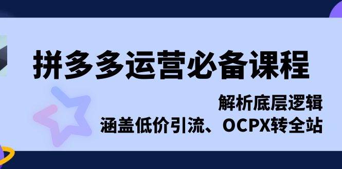 拼多多运营底层逻辑解析与实战技巧-无双副业