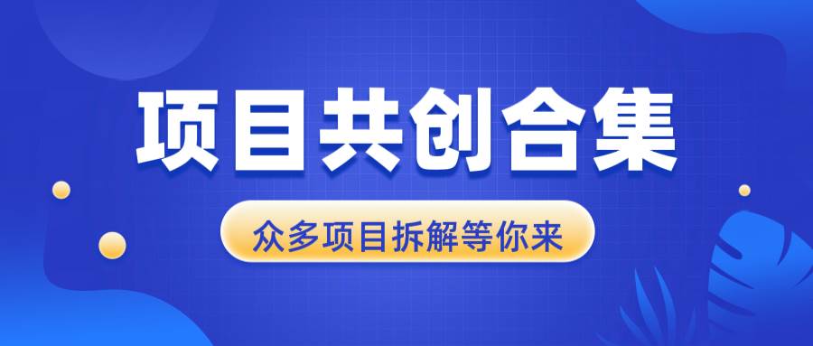 项目共创合集：从0到1全过程拆解，快速找到适合项目-无双副业
