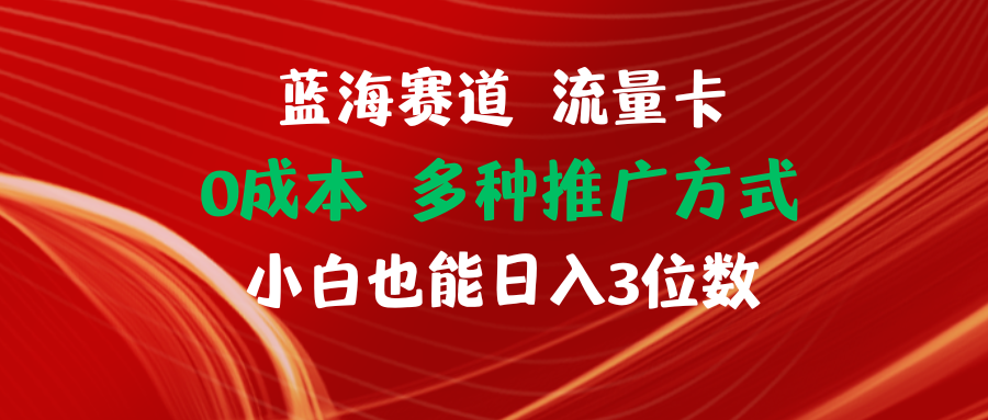 蓝海赛道流量卡项目，0成本实现日入三位数-无双副业