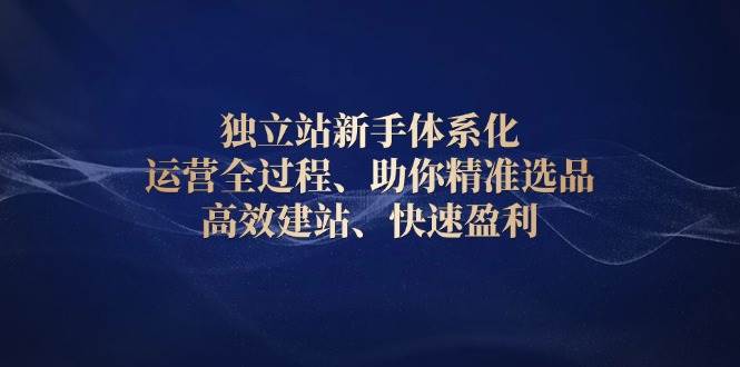 独立站新手体系化运营全过程，精准选品高效建站快速盈利-无双副业