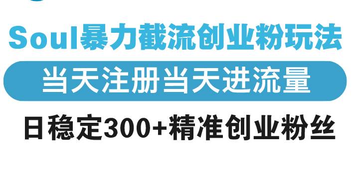 Soul暴力截流创业粉玩法，日稳定300+精准粉丝-无双副业