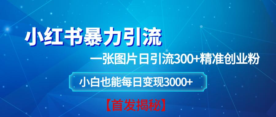 小红书暴力引流法：一张图片日引300+创业粉，稳定变现3000+-无双副业
