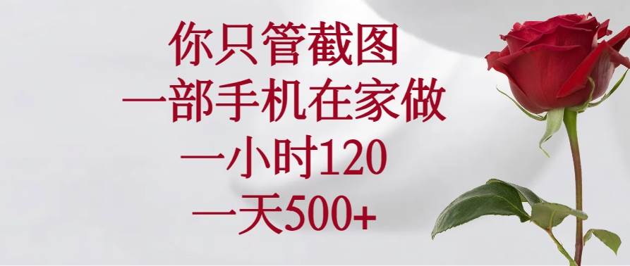 手机截图赚钱项目，在家轻松日赚500+-无双副业