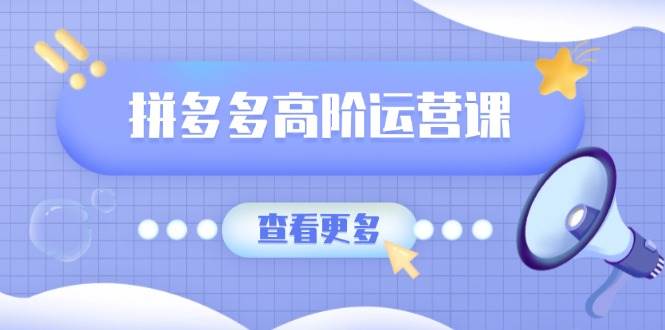 拼多多高阶运营课：极致群爆款玩法与单品爆款打造-无双副业
