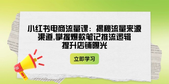 小红书电商流量课：揭秘流量来源与爆款笔记推流逻辑-无双副业