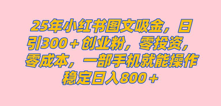 小红书创业粉图文引流教程，日引300+创业粉，零成本操作-无双副业