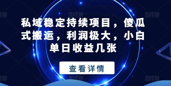 私域稳定项目，傻瓜式搬运，单日收益可观-无双副业