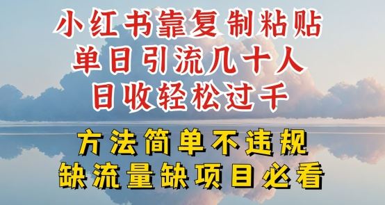 小红书暴力引流私域变现方法揭秘，轻松日入过千-无双副业