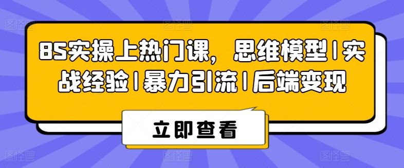 8S实操课程：思维模型与实战经验助力暴力引流与后端变现-无双副业
