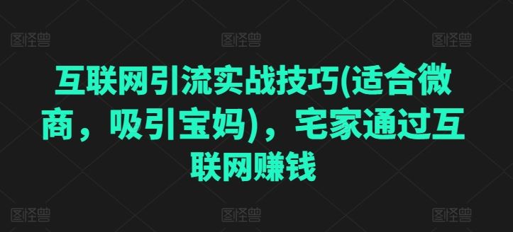 互联网引流实战技巧：宅家赚钱与宝妈吸引策略-无双副业