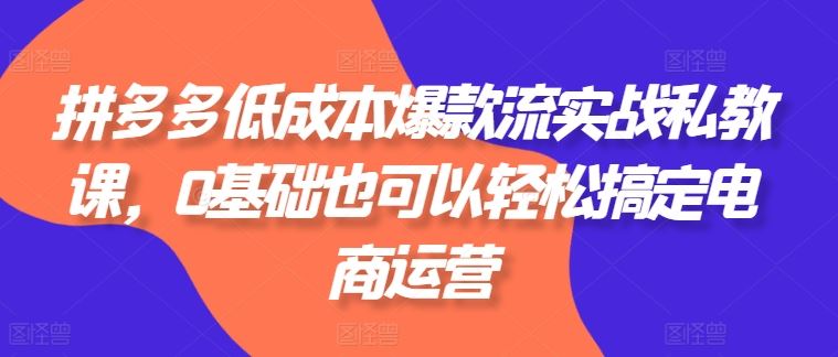 拼多多低成本爆款实战课程，0基础轻松掌握电商运营-无双副业