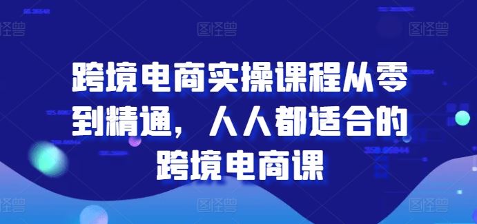 从零到精通的跨境电商实操课程，适合所有人群-无双副业