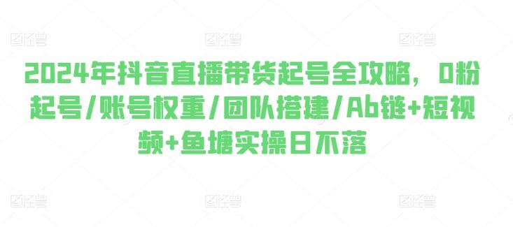 2024年抖音直播带货全攻略：从0粉起号到团队搭建-无双副业