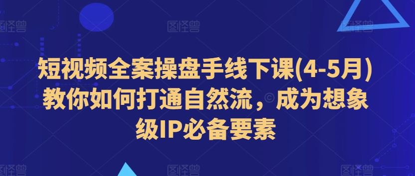 短视频全案操盘手线下课教你打通自然流，打造想象级IP-无双副业
