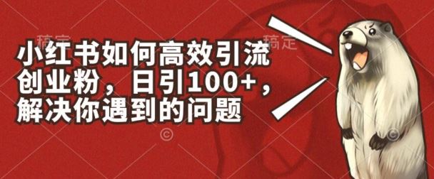 小红书高效引流创业粉技巧，日引100+实战指南-无双副业