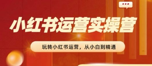 小红书运营从入门到精通，实现从0到100的突破-无双副业