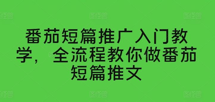 番茄短篇推广全流程教学，轻松掌握推文技巧-无双副业