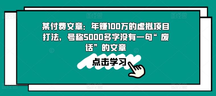 年赚100万的虚拟项目全攻略与实操经验分享-无双副业