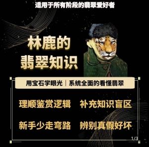 用宝石眼光系统全面看懂翡翠-无双副业
