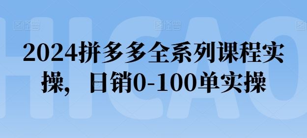2024拼多多全系列课程实操，日销0-100单技巧-无双副业
