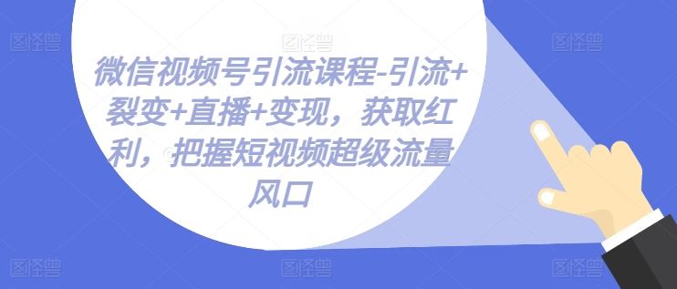 微信视频号引流与变现全攻略，掌握短视频流量红利-无双副业