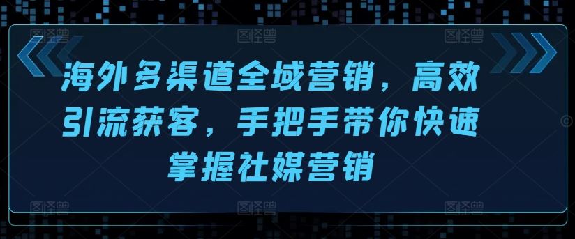 掌握海外社媒营销技巧，高效引流获客实战指南-无双副业