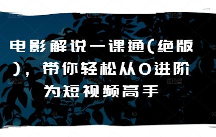 电影解说一课通，轻松从0进阶短视频高手-无双副业