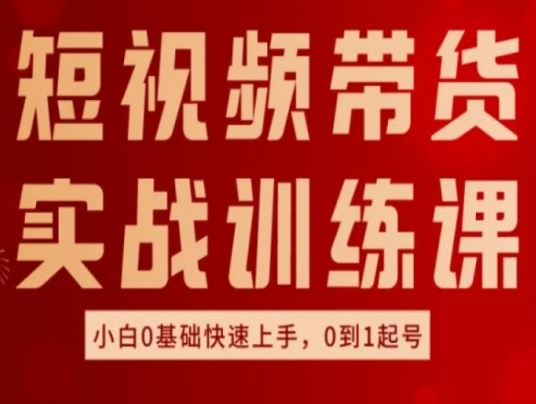 短视频带货实战训练课，小白0基础快速上手-无双副业