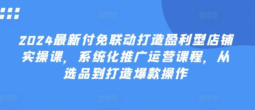 2024年盈利型店铺打造与系统化推广运营实操指南-无双副业