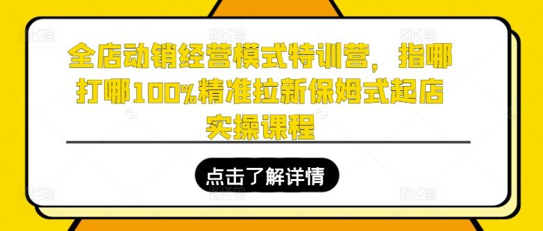全店动销经营模式特训营：精准拉新与起店实操指南-无双副业