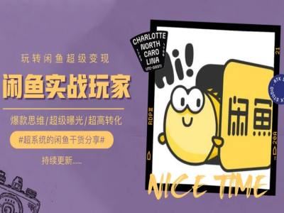 系统玩转闲鱼变现的爆款思维与超高转化技巧-无双副业