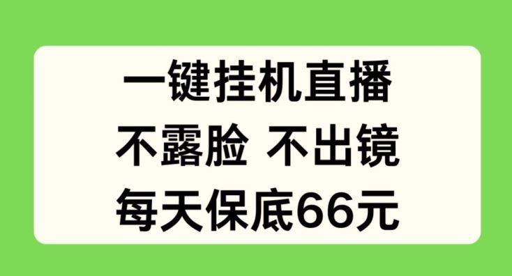一键挂机直播轻松赚钱，每天保底66元揭秘-无双副业