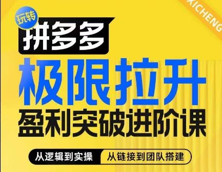 拼多多盈利突破进阶课：从算法到团队搭建的全面指南-无双副业