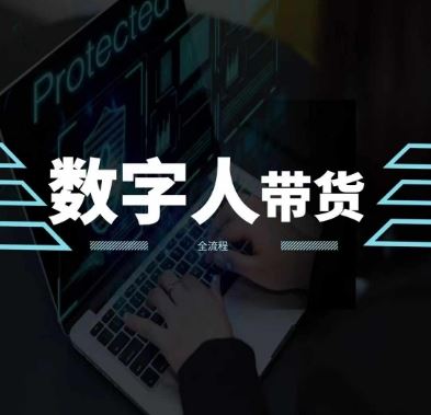 AI数字人短视频带货教程，掌握方法轻松提升流量-无双副业