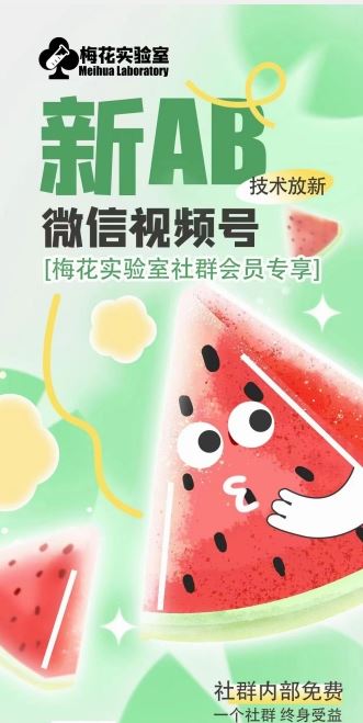 2024年视频号AB合成技术破解版详解-无双副业