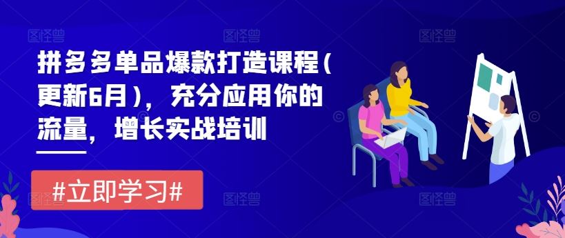 拼多多单品爆款打造课程，流量增长实战培训-无双副业
