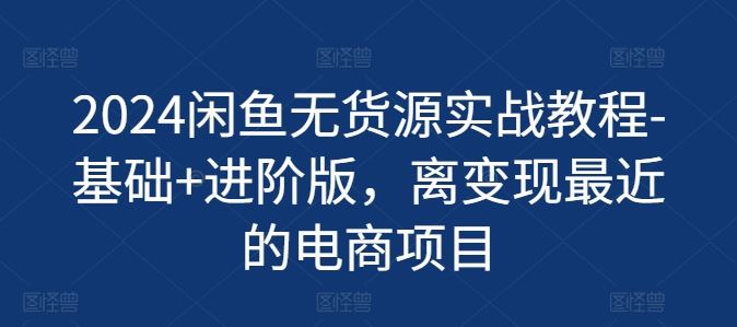 2024闲鱼无货源电商实战教程：从基础到进阶-无双副业