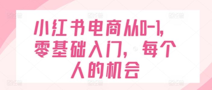 小红书电商零基础入门指南，抓住每个人的机会-无双副业