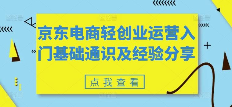 京东电商轻创业运营入门与实战经验分享-无双副业