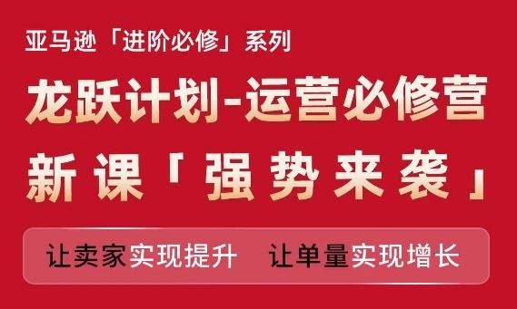 亚马逊运营提升与单量增长实战课程-无双副业