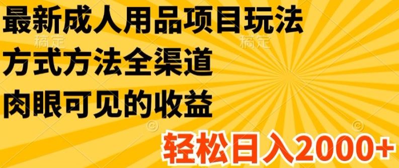成人用品项目全渠道玩法揭秘，轻松日入2K+-无双副业