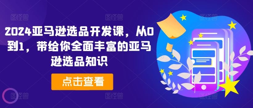 2024亚马逊选品开发课：从入门到精通-无双副业
