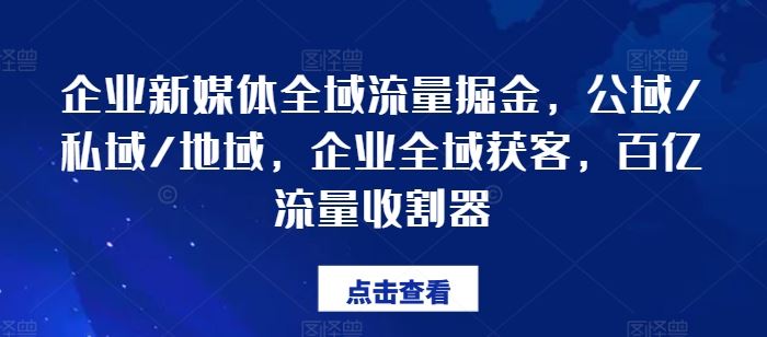 企业新媒体全域流量获客策略与营销体系搭建-无双副业
