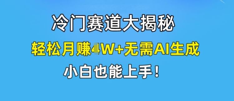 冷门赛道揭秘：轻松月赚1W+，小白也能快速上手-无双副业