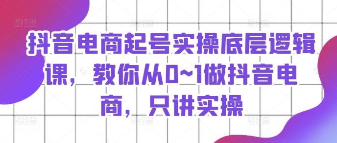 抖音电商从0到1起号实操与底层逻辑详解-无双副业