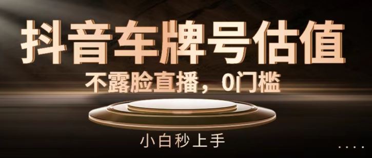 抖音车牌号估值直播，0门槛快速上手技巧-无双副业